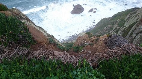 Cliff Looking Down