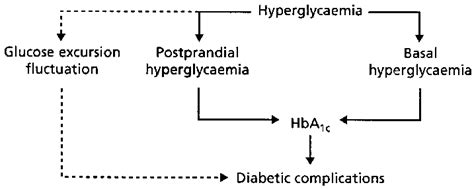 A Schematic Representation Of The Different Components Of Download Scientific Diagram