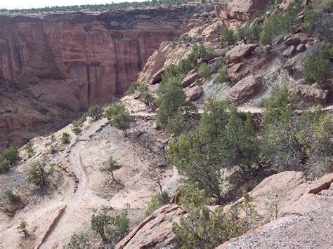 White House Trail - Picture of White House Ruins Trail, Chinle ...