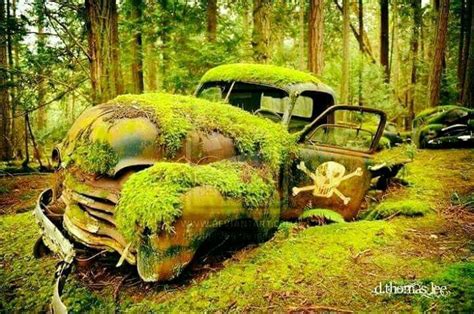 Pin By Debbie Holeman On Trucks I Love Them All Abandoned Cars