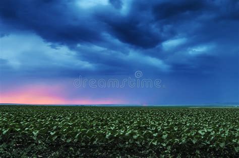 Nuvens De Tempestade Que Voam Sobre O Campo Imagem De Stock Imagem De