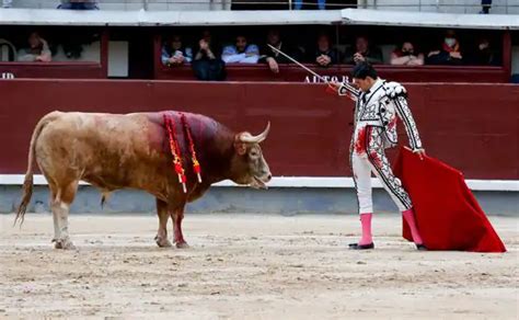 Feria de Julio 2022 toros en Valencia Roca Rey Morante y cuándo es