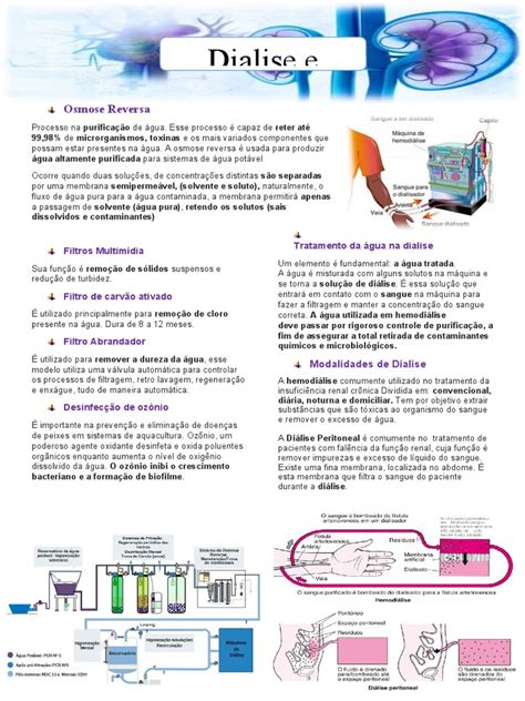 Resumo De Hemodialise Pdf Rim Hemodiálise