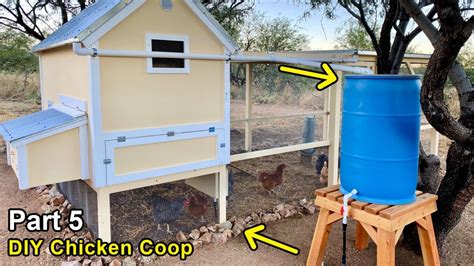 Building A Diy Chicken Coop Part 5 Rainwater Harvesting Watering