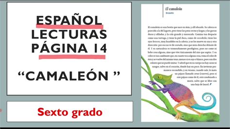 Libro De Espa Ol Lecturas Sexto Grado P G El Camale N Mejora Tu