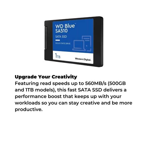 Western Digital WD Blue SA510 2 5 SATA SSD Thunder Match