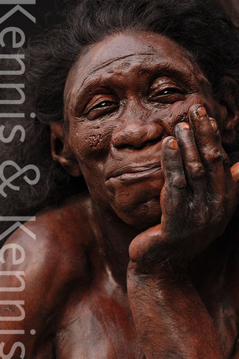 Homo Floresiensis Kennis Kennis Reconstructions