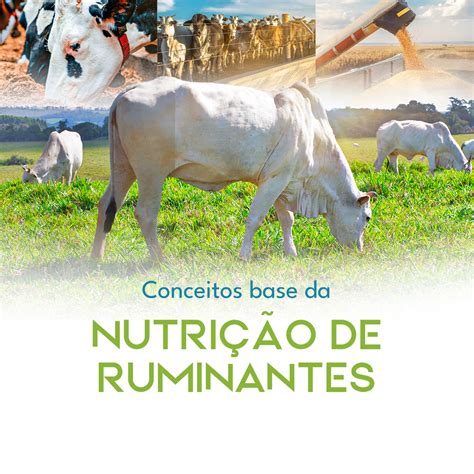 Nutri O De Ruminantes Ad Digital Conte Do Online Ltda Hotmart