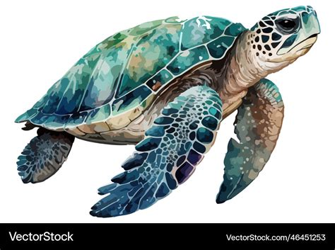 Watercolor Sea Turtle Royalty Free Vector Image