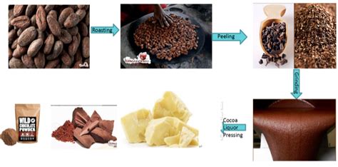 Cocoa Processing Plant | China Africa Sourcing