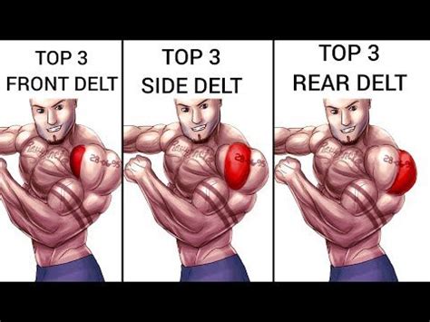 Top Front Delt Side Delt And Rear Delts Workout At Gym Deltoid