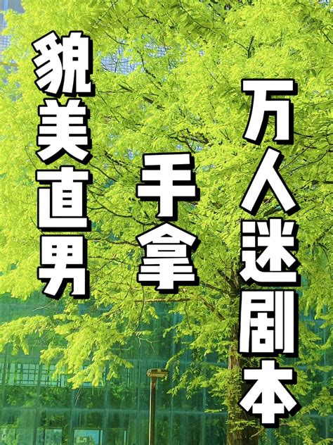 《貌美直男手拿万人迷剧本》山藜 第1章 最新更新 2023 02 08 20 00 00 晋江文学城