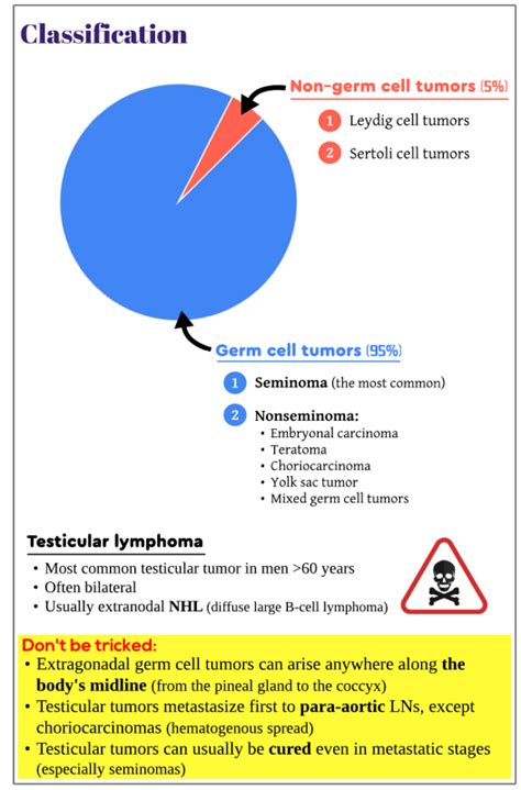 Classification Of Testicular Tumors Medicine Keys For Mrcps