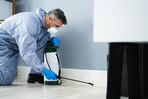 Pest Control Vs Exterminator What Are The Major Differences