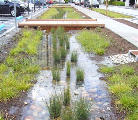 Burlingame Donnelly Avenue Rain Garden Flows To Bay