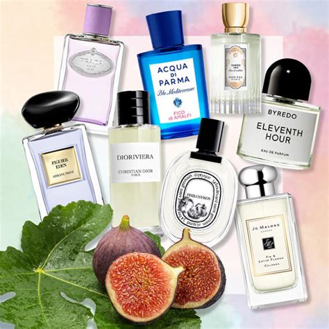 Los Mejores Perfumes S Lidos De Que Mejor Huelen