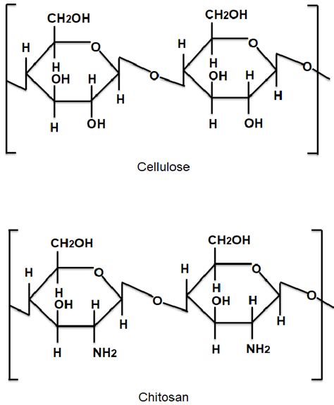 Molecular Structures Of Cellulose And Chitosan Similarities And