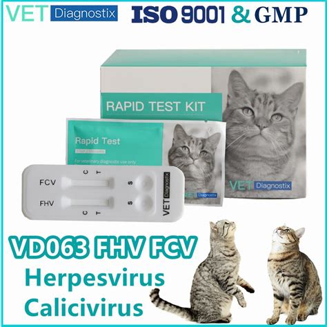 Fhv Fcv Test Feline Calicivirus Herpesvirus Ag Combo Rapid Test Kit