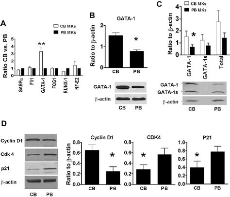 Figure 3 From Developmental Differences In Megakaryocytopoiesis Are