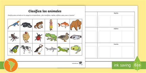 Ficha de actividad Clasificación de animales en su grupo