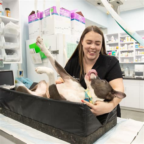 Who We Are | The BluePearl Mission - BluePearl Pet Hospital