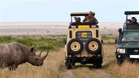 5 Days Best Of Tanzania Safari Lake Manyara Ngorongoro And Tarangire