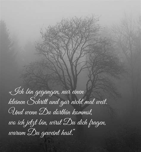 Baum Im Nebel Psalm Mms Sylvia Karina Life