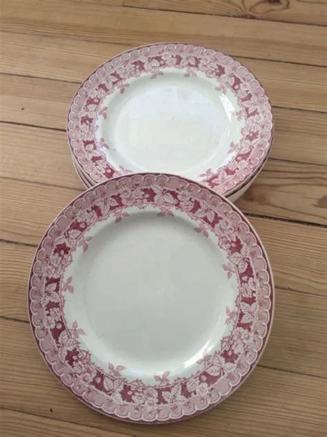 6 ASSIETTES PLATES FAÏENCE DE ST AMAND HAMAGE Modèle MÛRIER terre de