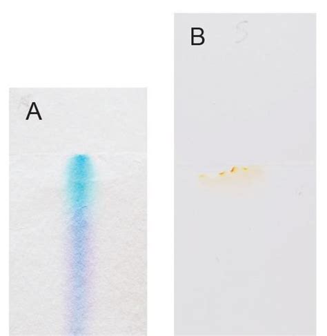 Practical Chromatography Cpd Rsc Education