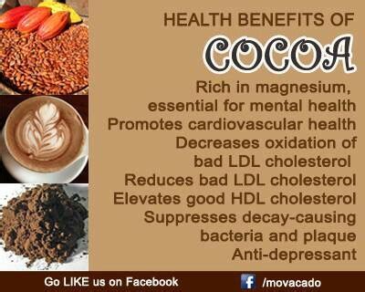 Trinidad S Cocoa Dream Health Benefits Of Cocoa Beans