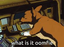 Cowboy Bebop Ein GIFs | Tenor