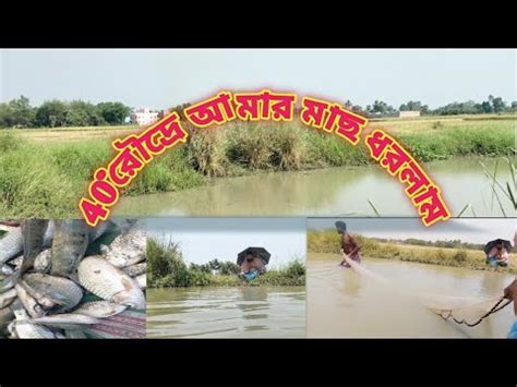 40 রদর আমর ডবত মছ ধরলম village hand fishing fish caching