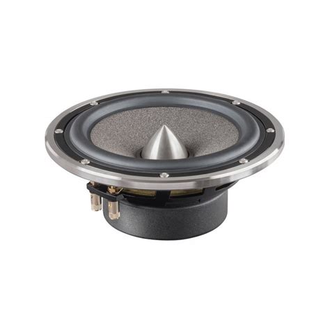 16cm/6,5 inch Mid-/bass woofer with - Midwoofer | Axiomedia