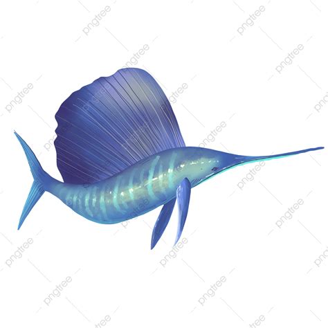 Marine Life Png Transparent Sailfish Blue Marine Life Swordfish Fin