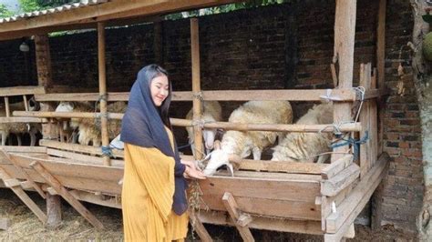 Dinas Pertanian Pangandaran Cek Hewan Kurban Ke Kandang Peternak Untuk