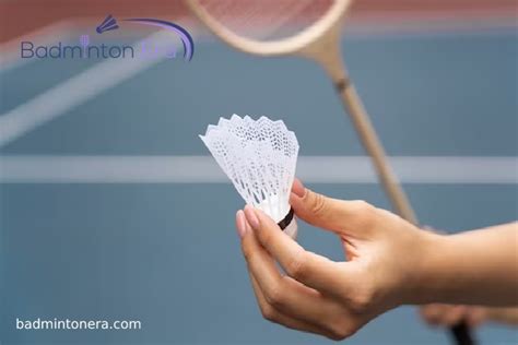 Drop Shot Badminton Techniques You Must Learn - Badminton Era