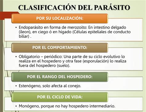 Coccidiosis En Conejos Clasificacion Pptx