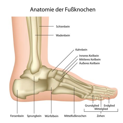 Fuß ORTHO BALANCE