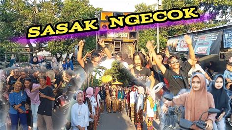 Sasak Ngecok Edisi Nyongkolan Pelambik Bareng Dangdut Dorong Palapa