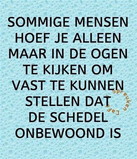 Jokes Quotes Wisdom Quotes Funny Quotes Dutch Quotes Sarcasm Humor