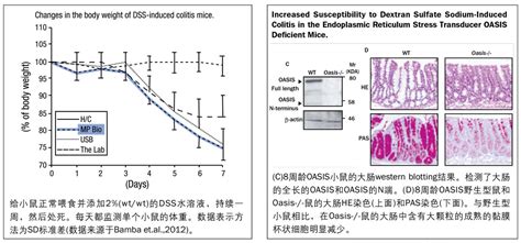 MP肠炎级葡聚糖硫酸钠DSS