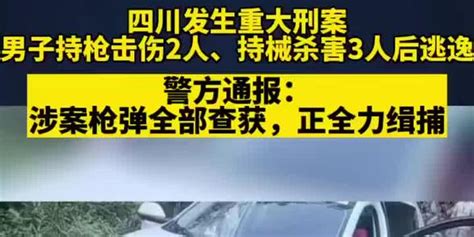 四川乐山警方通报持枪伤人案：正全力开展缉捕工作手机新浪网