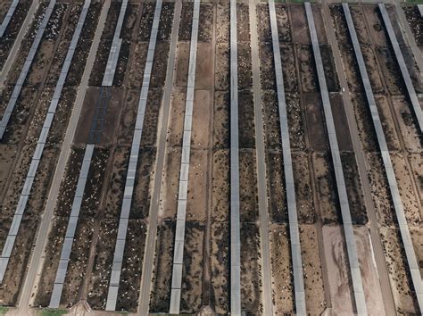 Beef City Feedlot Aussie Feedlots