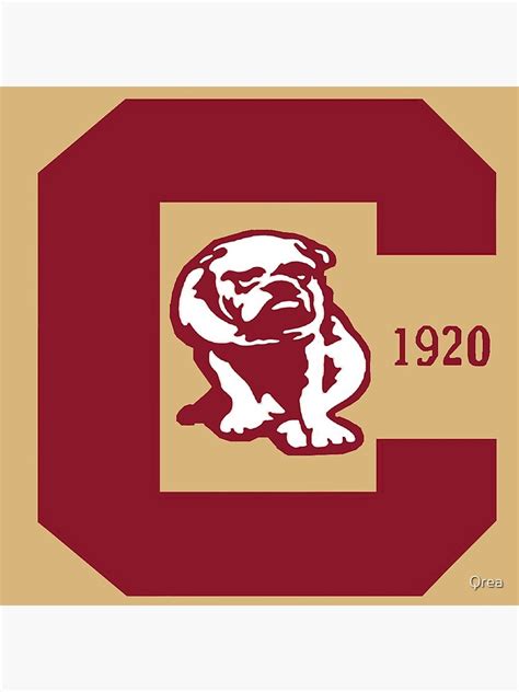 "Defunct vintage american football team Canton Bulldogs emblem" Poster ...