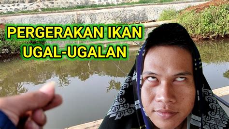 PESTA STRIKE PART 2 MEMANCING IKAN NILA Di Kolam Harian YouTube