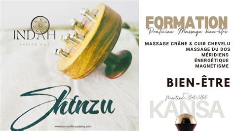 Tickets Formation Massage Du Dos Et Crânien énergétique Shinzu