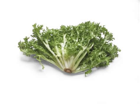 Endive Lettuce, 1 ct - Fry’s Food Stores