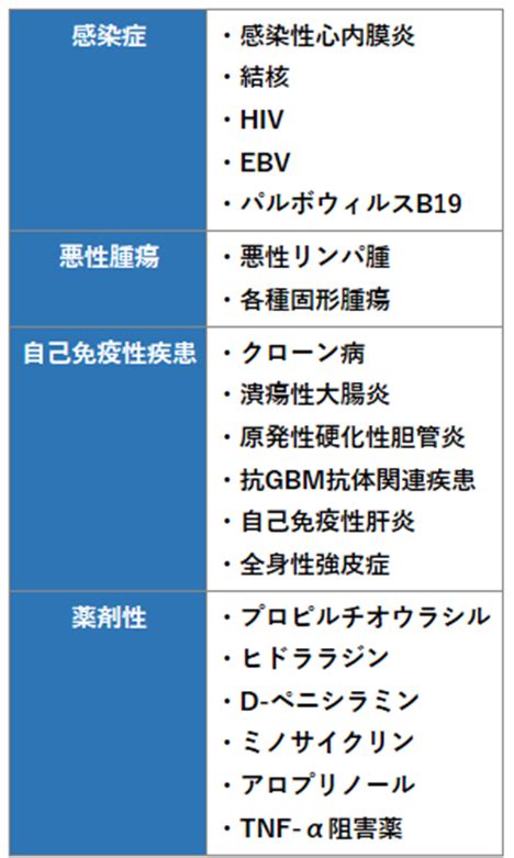 抗好中球細胞質抗体ancaについて│不識庵 万年研修医のブログ