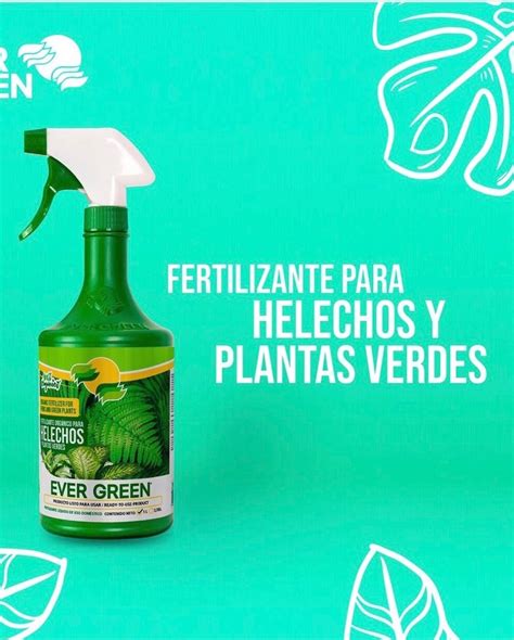 Fertilizante Organico Evergreen Para Helechos Y Plantas Verdes