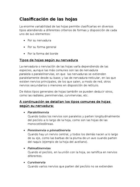 Clasificación De Las Hojas Pdf Hoja Morfología Vegetal